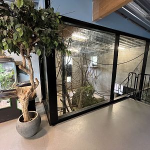 Gibbon House - second level