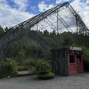 Greater Flamingo Aviary