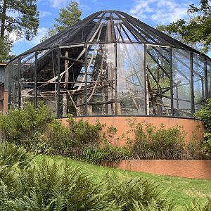 Yellow-breasted Capuchin Exhibit
