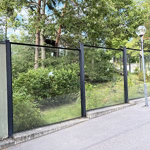 Squirrel Monkey Exhibit