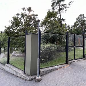 Squirrel Monkey Exhibit