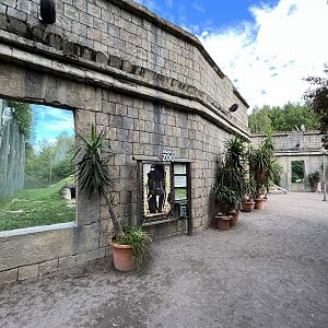 Jaguar Exhibits