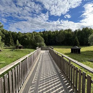 Cheetah + Bactrian Camel Exhibits