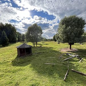 Bactrian Camel Exhibit
