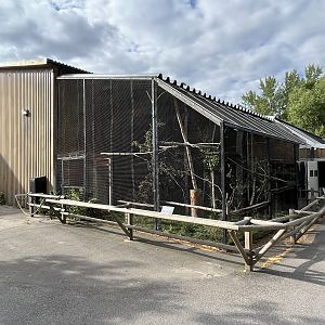 Red-bellied Lemur Exhibit