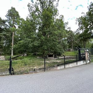 Chinese Dhole Exhibit