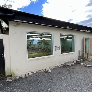 Aldabra Tortoise House