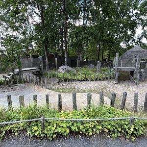 Aldabra Tortoise Exhibit