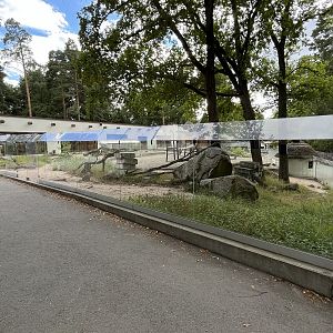 Desert House - Sand Cat Exhibit