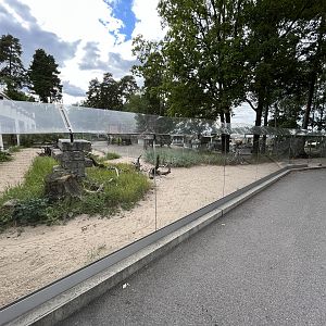 Desert House - Sand Cat Exhibit