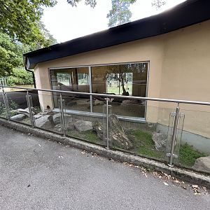 Small-clawed Otter Exhibit