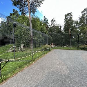 Sumatran Tiger Exhibit