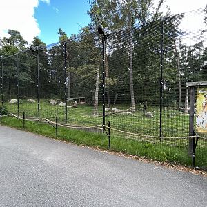 Sumatran Tiger Exhibit