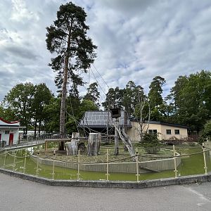 Ring-tailed Lemur Exhibit