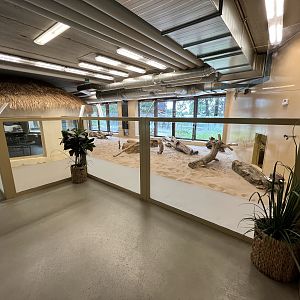 Desert House - Sand Cat Exhibit