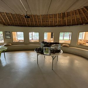 Desert House - Radiated Tortoise Exhibit