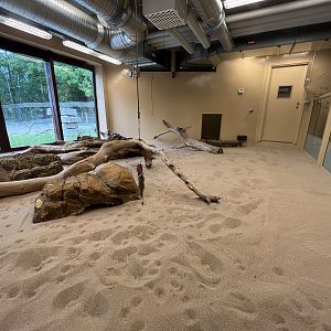 Desert House - Sand Cat Exhibit