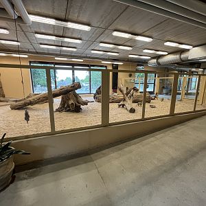 Desert House - Sand Cat Exhibit