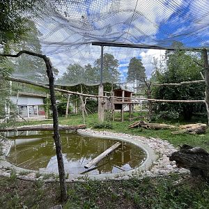 Clouded Leopard Exhibit