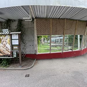 Clouded Leopard Exhibit