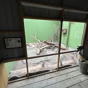 Asian Pavilion - Tamandua Indoor Exhibit