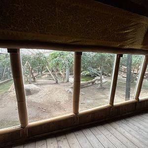 Clouded Leopard Indoor Exhibit