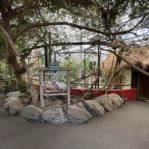 Clouded Leopard Exhibit