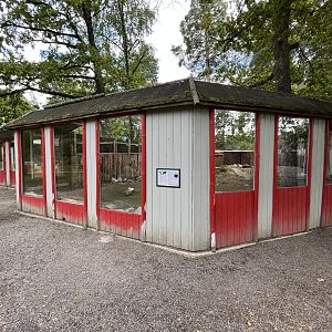 Aldabra Tortoise Exhibit