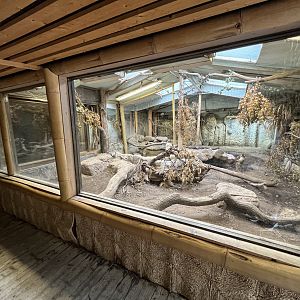 Komodo Dragon House