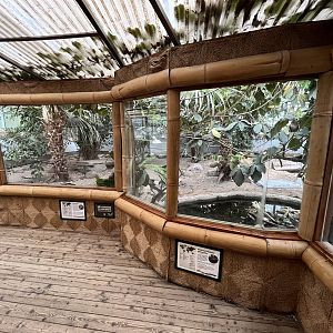 Komodo Dragon House