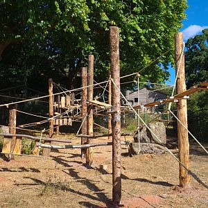 #3 New Sulawesi macaque exhibit upgrade