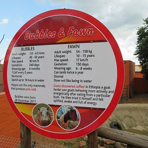 Bubbles & Fawn Zoo Sign