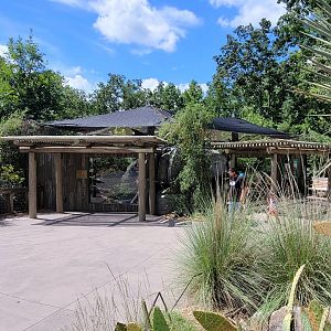 Aug. 2022 - The Desert - Ocelot Exhibits