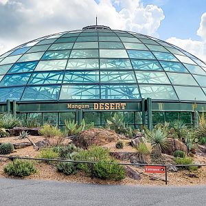 Aug. 2022 - The Desert