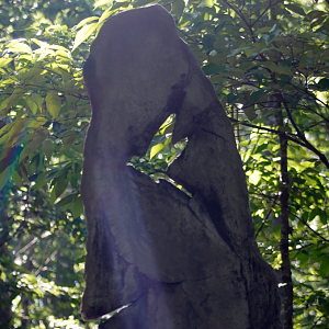 Aug. 2022 - North America: Prairie - Carolina Parakeet Memorial