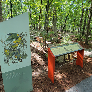 Aug. 2022 - North America: Prairie - Carolina Parakeet Signage