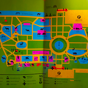 Brookfield Zoo Map, 1980