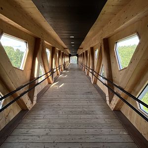 Enormous Walkway Into Zoo