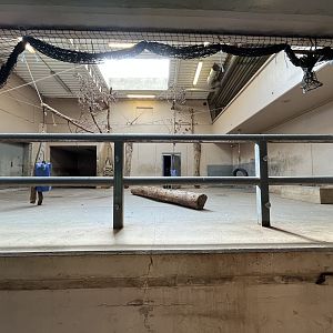 White Rhino Indoor Area