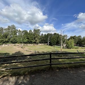 White Rhino/Cheetah Exhibit