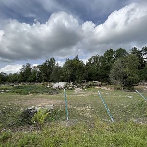 White Rhino/Cheetah Exhibit