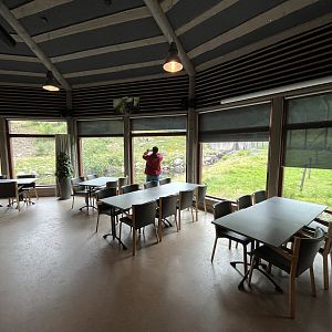 Zoo Nerd in Restaurant