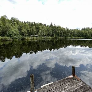 Grey + Harbour Seal Exhibit (a lake!)