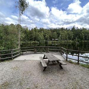 Grey + Harbour Seal Exhibit (a lake!)