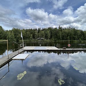 Grey + Harbour Seal Exhibit (a lake!)