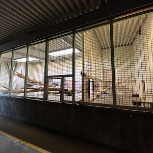 Tiger Indoor Exhibit (ZERO barriers)