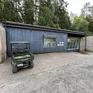 Humboldt Penguin Exhibit