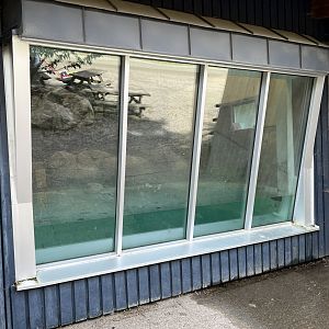 Humboldt Penguin Exhibit