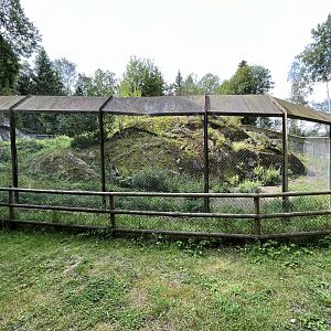 African Wild Dog Exhibit #1