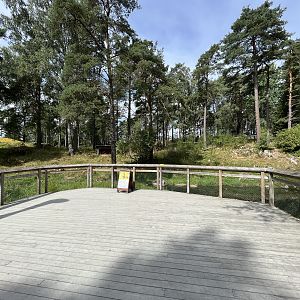 Spotted Hyena Exhibit